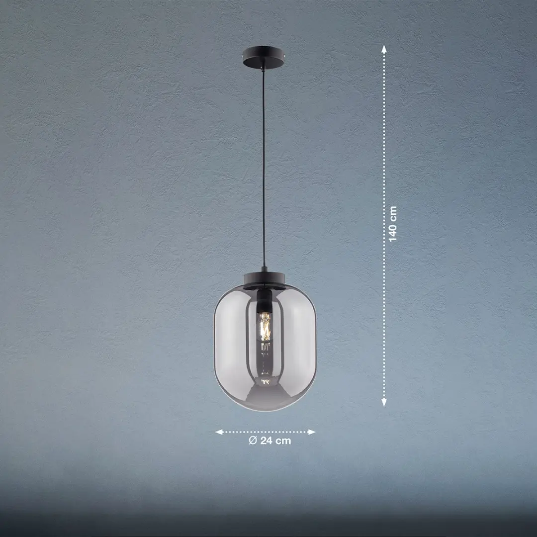 Fischer & Honsel Regi Hanglamp - Ø24cm - Mat Zwart - Rookglas - afbeelding 6 van 6