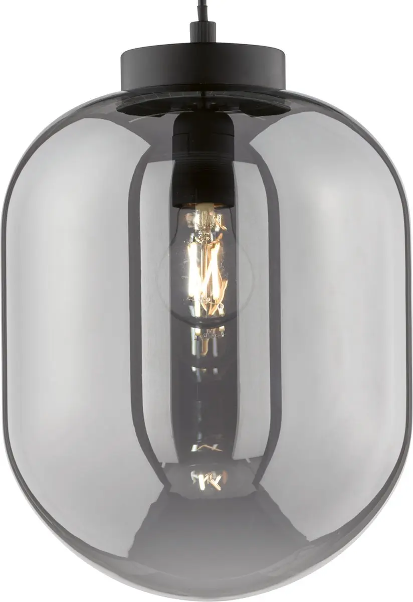 Fischer & Honsel Regi Hanglamp - Ø24cm - Mat Zwart - Rookglas