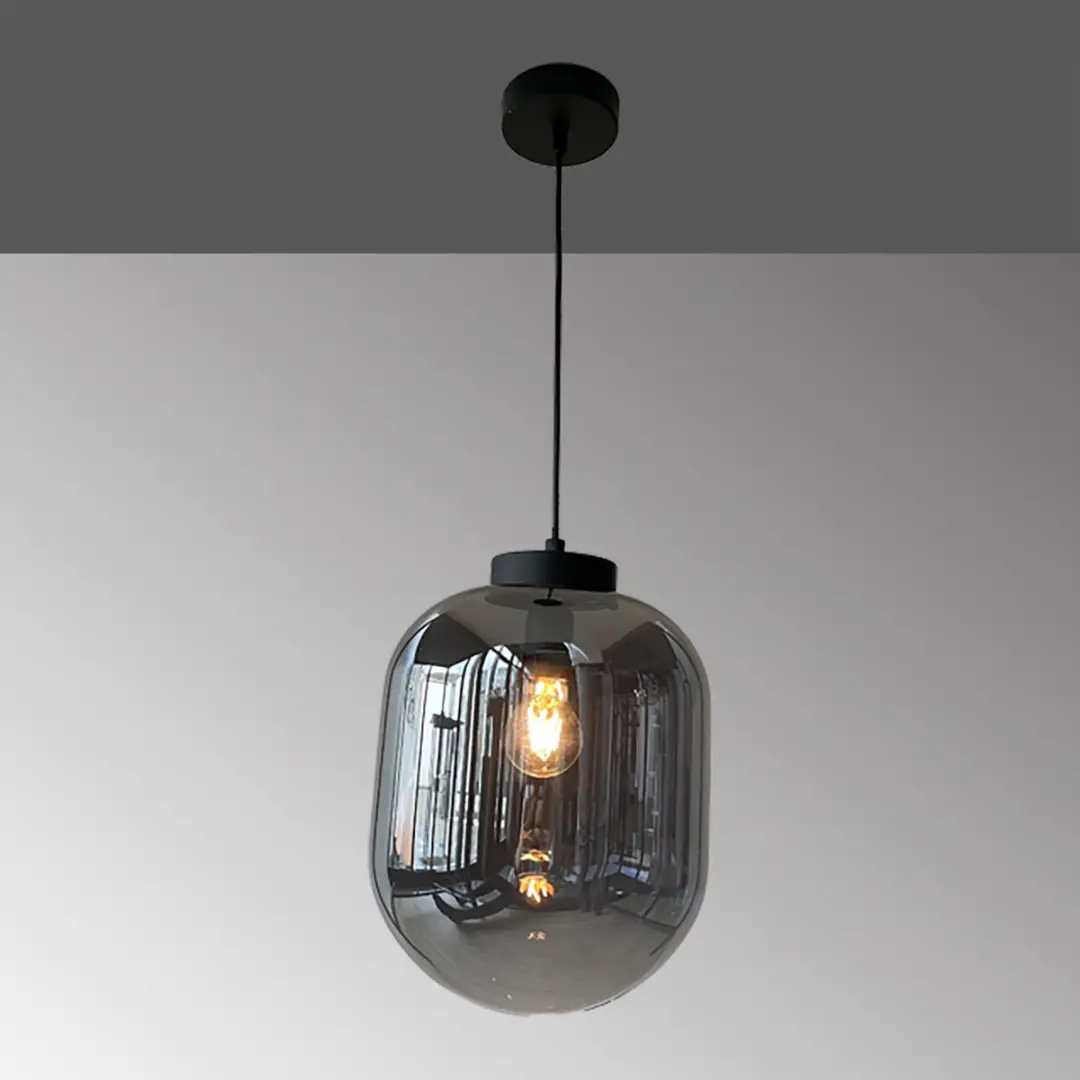 Fischer & Honsel Regi Hanglamp - Ø24cm - Mat Zwart - Rookglas