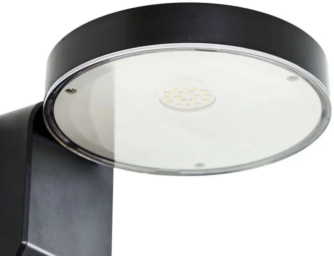 PRIOS Wandlamp Buiten 1 Licht 3.8W - Zwart