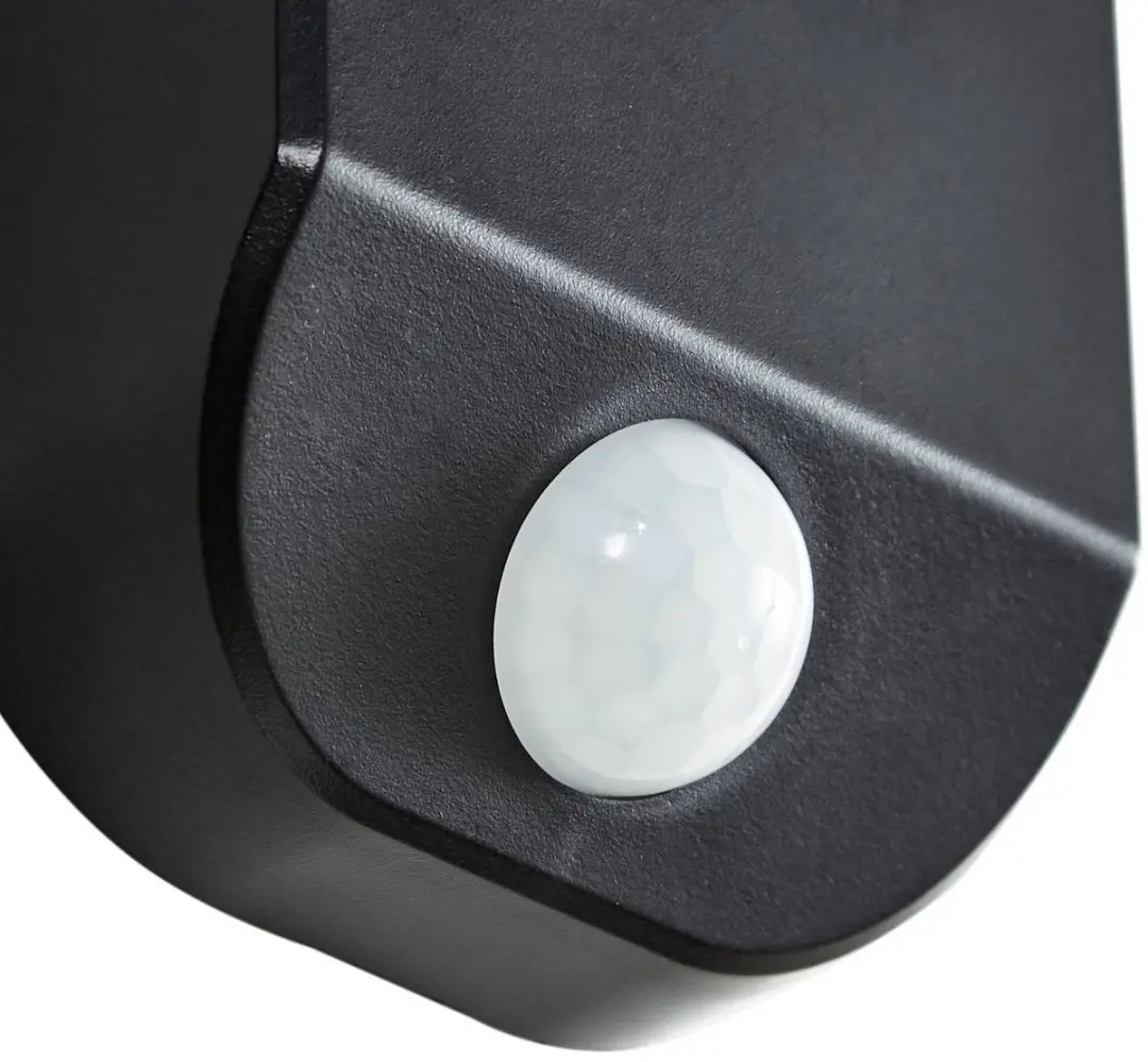 PRIOS Wandlamp Buiten 1 Licht 3.8W - Zwart