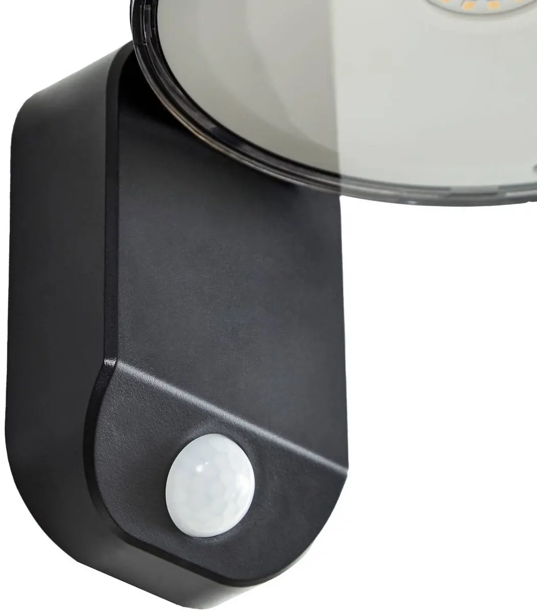 PRIOS Wandlamp Buiten 1 Licht 3.8W - Zwart