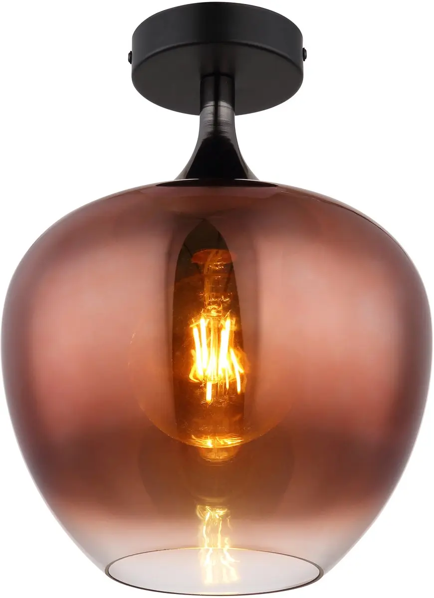 Globo Maxy Plafondlamp Ø24cm