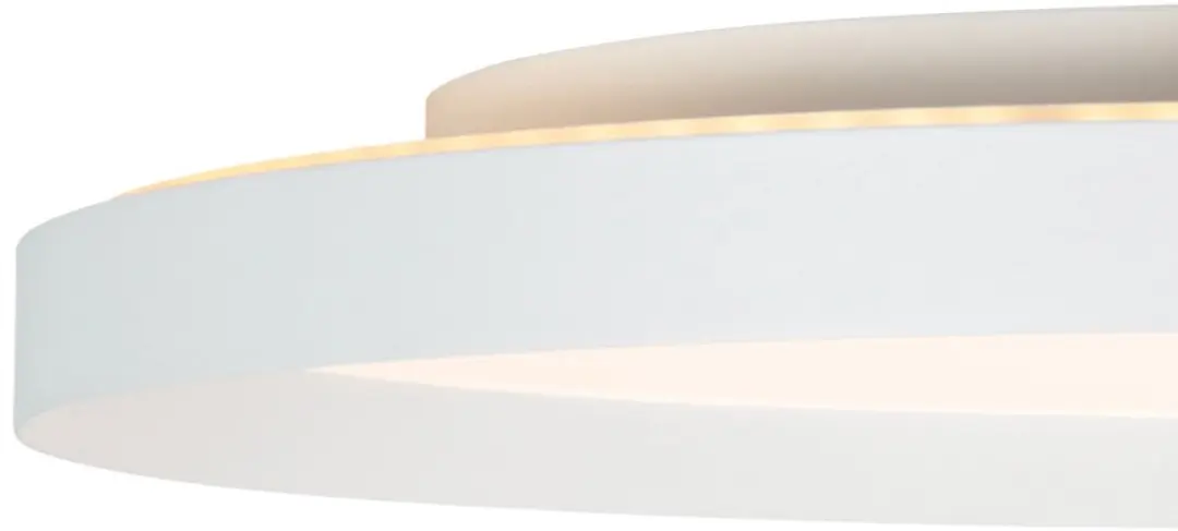 Steinhauer Flady 3686W Plafondlamp - 2x48W - Ø50cm - 4600 Lumen - Wit