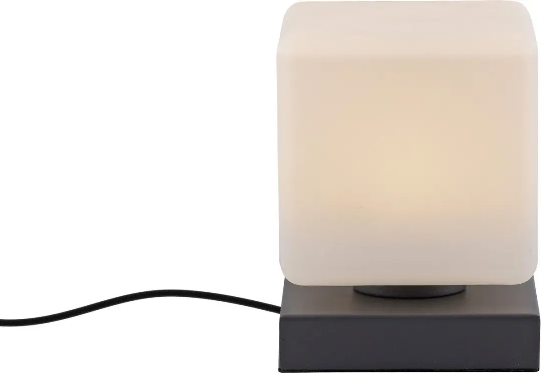 Paul Neuhaus Dadoa Tafellamp 5W