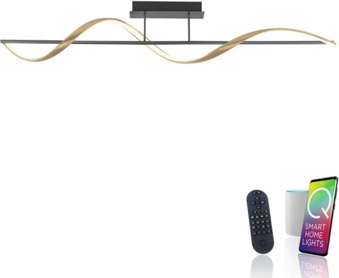 Paul Neuhaus Q-Swing Smart Plafondlamp 24W