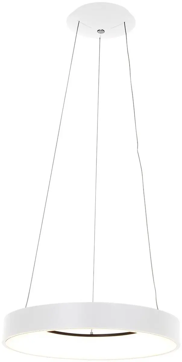 Steinhauer Hanglamp Ringlede 2695W