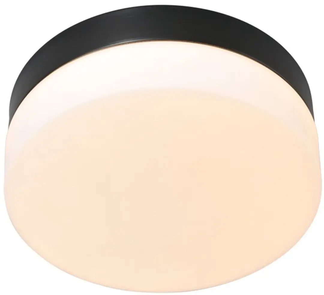 Steinhauer Plafondlamp Ikaro 1362ZW Ø18cm - Zwart/Wit