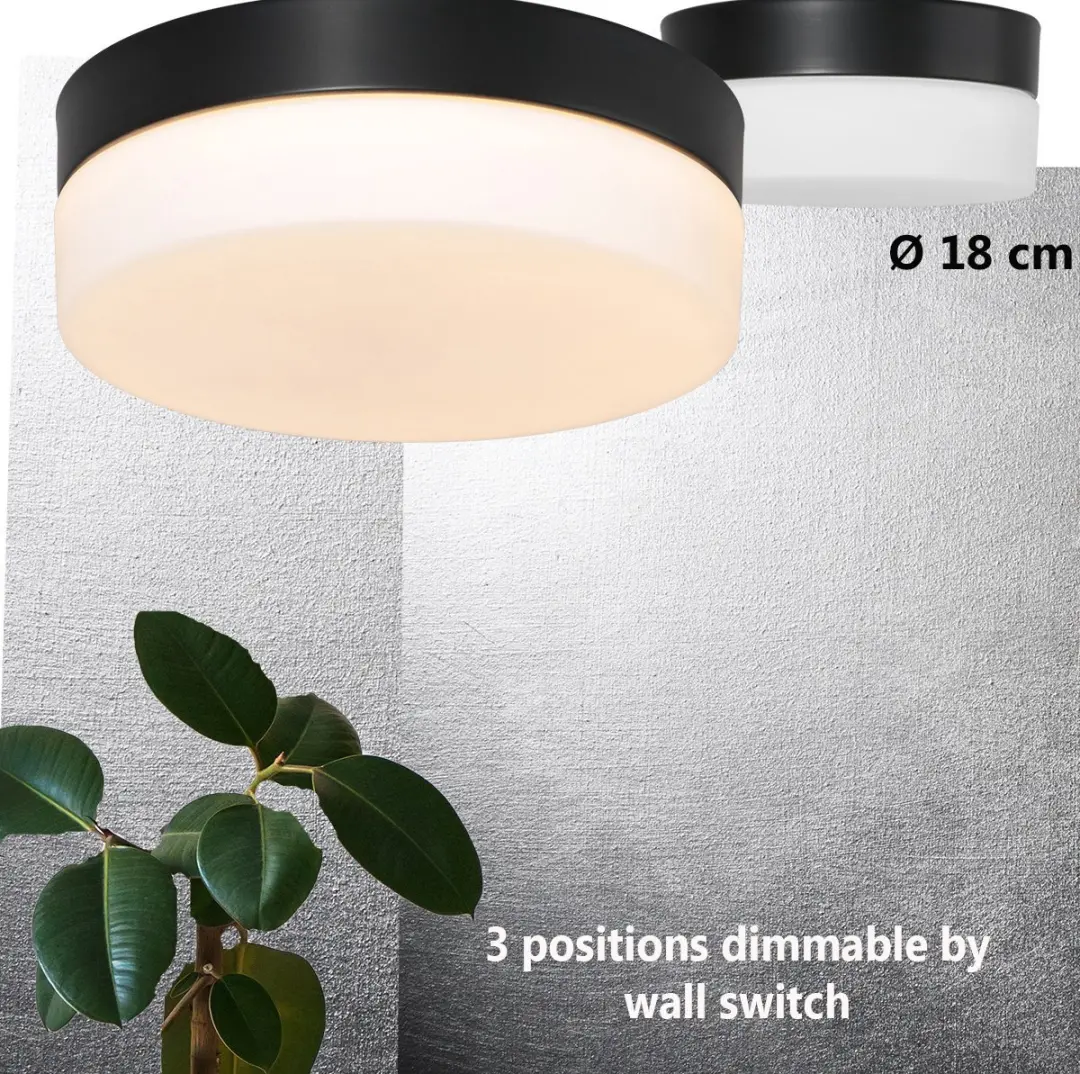 Steinhauer Plafondlamp Ikaro 1362ZW Ø18cm - Zwart/Wit