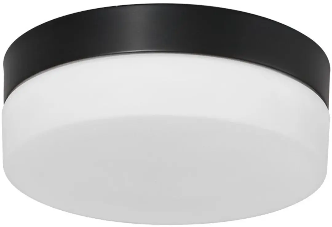 Steinhauer Plafondlamp Ikaro 1362ZW Ø18cm