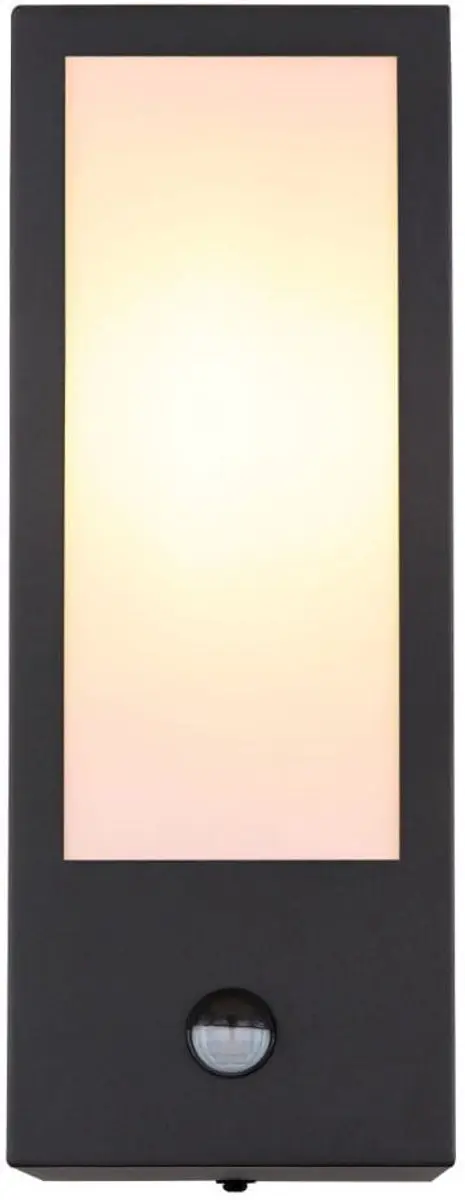 Globo Wandlamp Gundula 31980OS - Zwart - Ø12cm