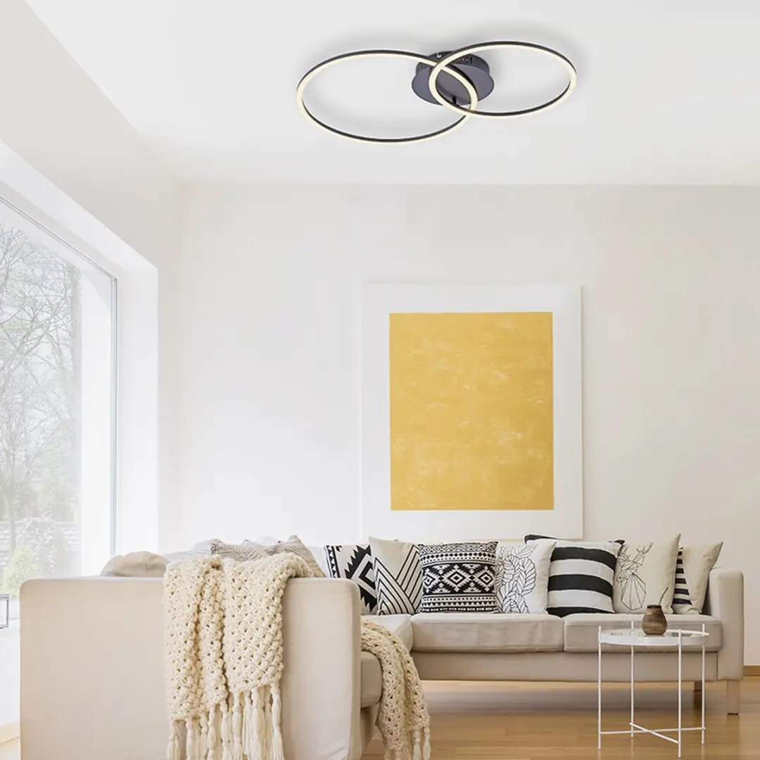 Paul Neuhaus Julka LED Plafondlamp - 1 Lichtpunt - 3000K - Zwart