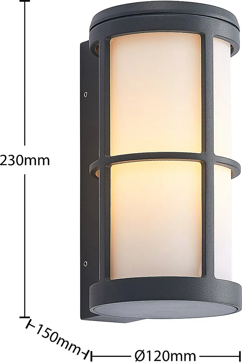 Lucande Wandlamp Buiten 1 Licht E27 Donkergrijs
