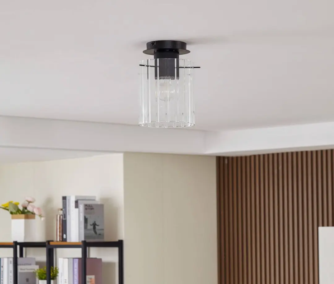 Lucande Plafondlamp Glas Metaal 1 Licht E27 - 18cm - Zwart