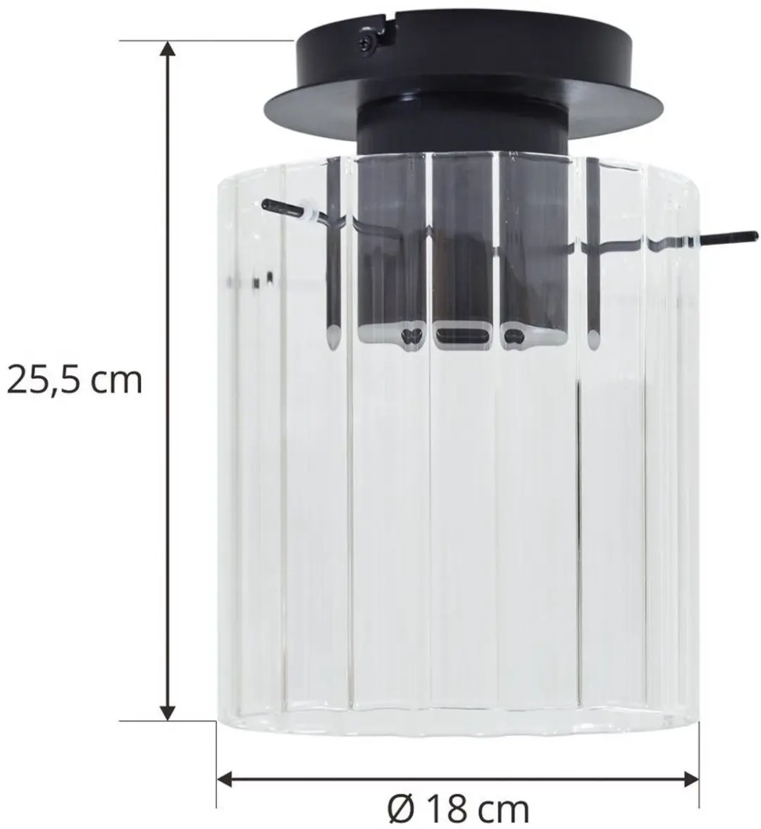 Lucande Plafondlamp Glas Metaal 1 Licht E27 - 18cm - Zwart