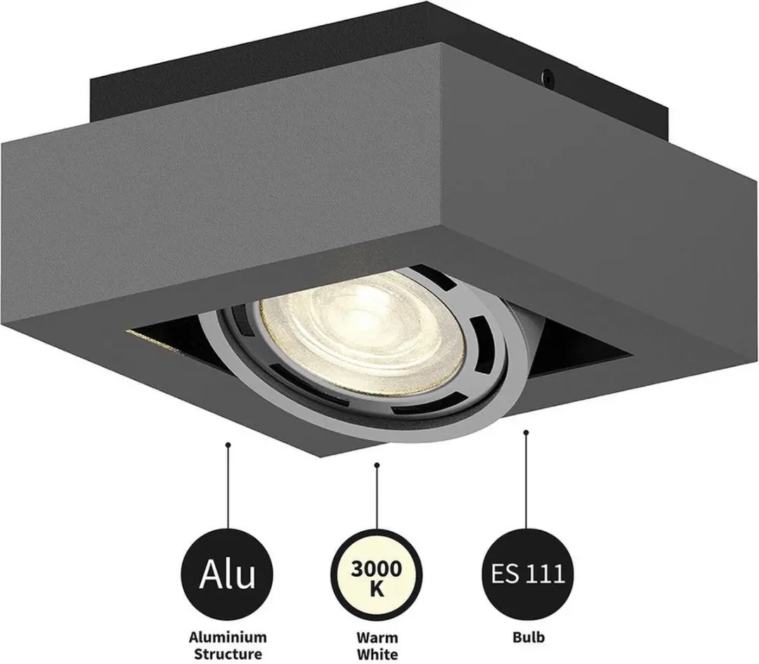 ARCCHIO Plafondlamp 1 Licht GU10 Donkergrijs