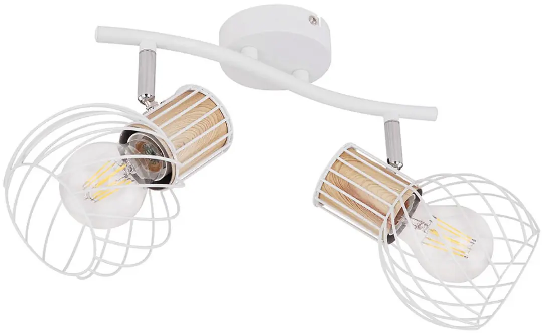 Globo Plafondlamp 2-vlams Spot