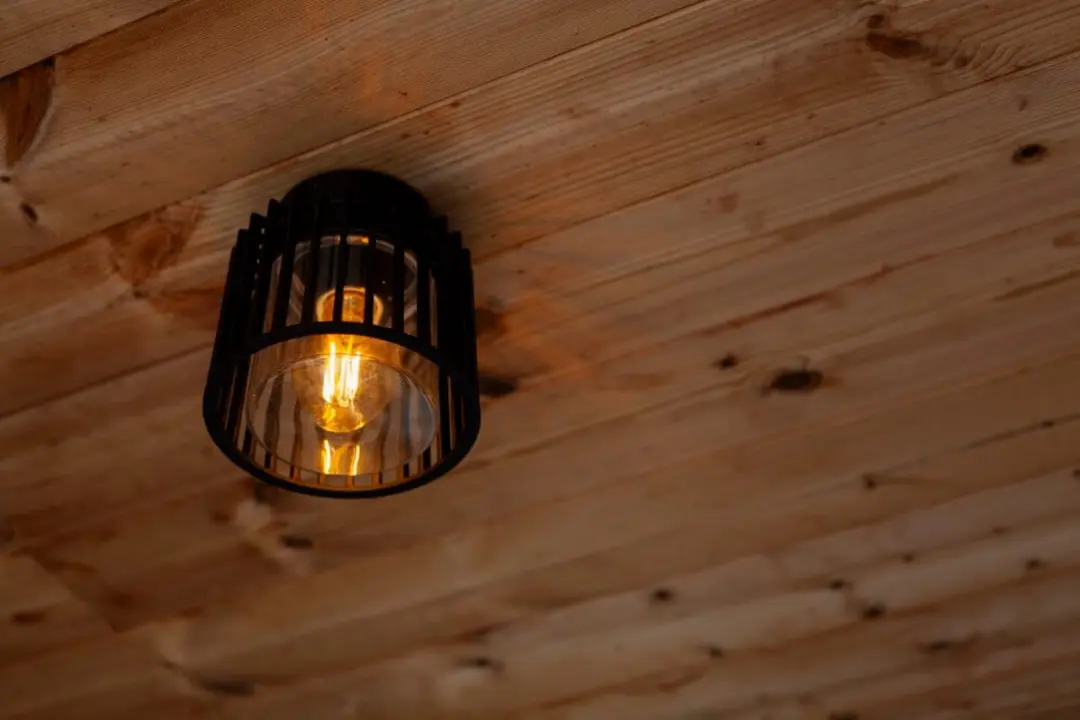 Lutec Shyne Plafondlamp E27 - 16.1cm Zwart