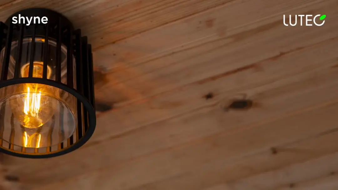 Lutec Shyne Plafondlamp E27 - 16.1cm Zwart