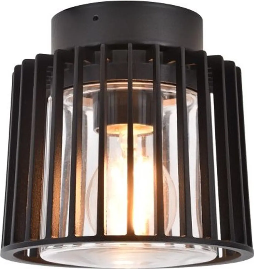 Lutec Shyne Plafondlamp E27