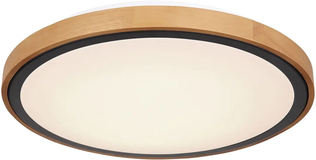 Globo Bruno Plafondlamp