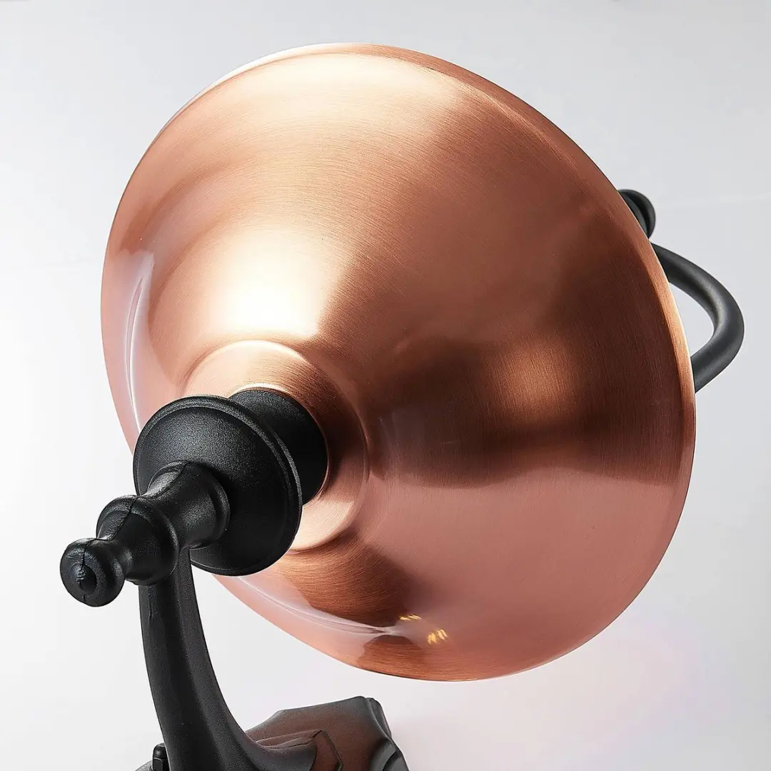 Lindby Wandlamp Buiten 1 Licht E27 - 60W - Zwart/Koper/Transparant