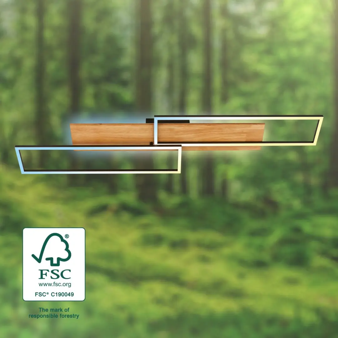 Briloner Cornice LED Plafonnière 38W - Zwart