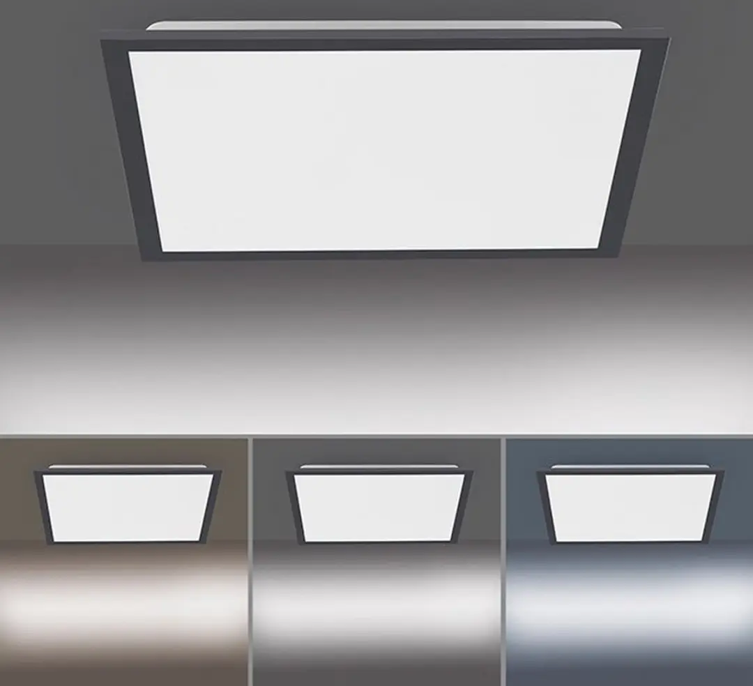 Paul Neuhaus Flat Plafondlamp 44,5x44,5cm - Zwart