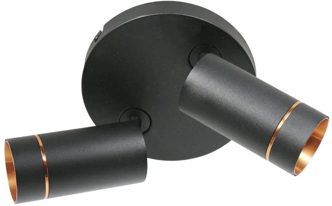 Steinhauer Downlume 4858ZW Plafondspot 2x GU10 - 25cm - Zwart