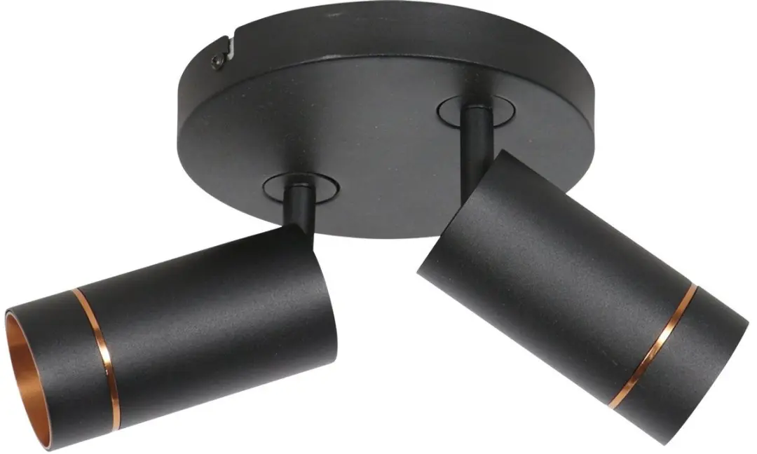 Steinhauer Downlume 4858ZW Plafondspot 2x GU10