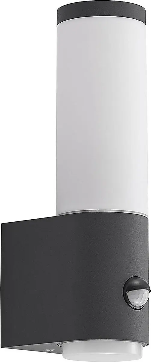 Lindby Wandlamp Buiten 1 Licht E27 - 18W - Donkergrijs/Opaalwit