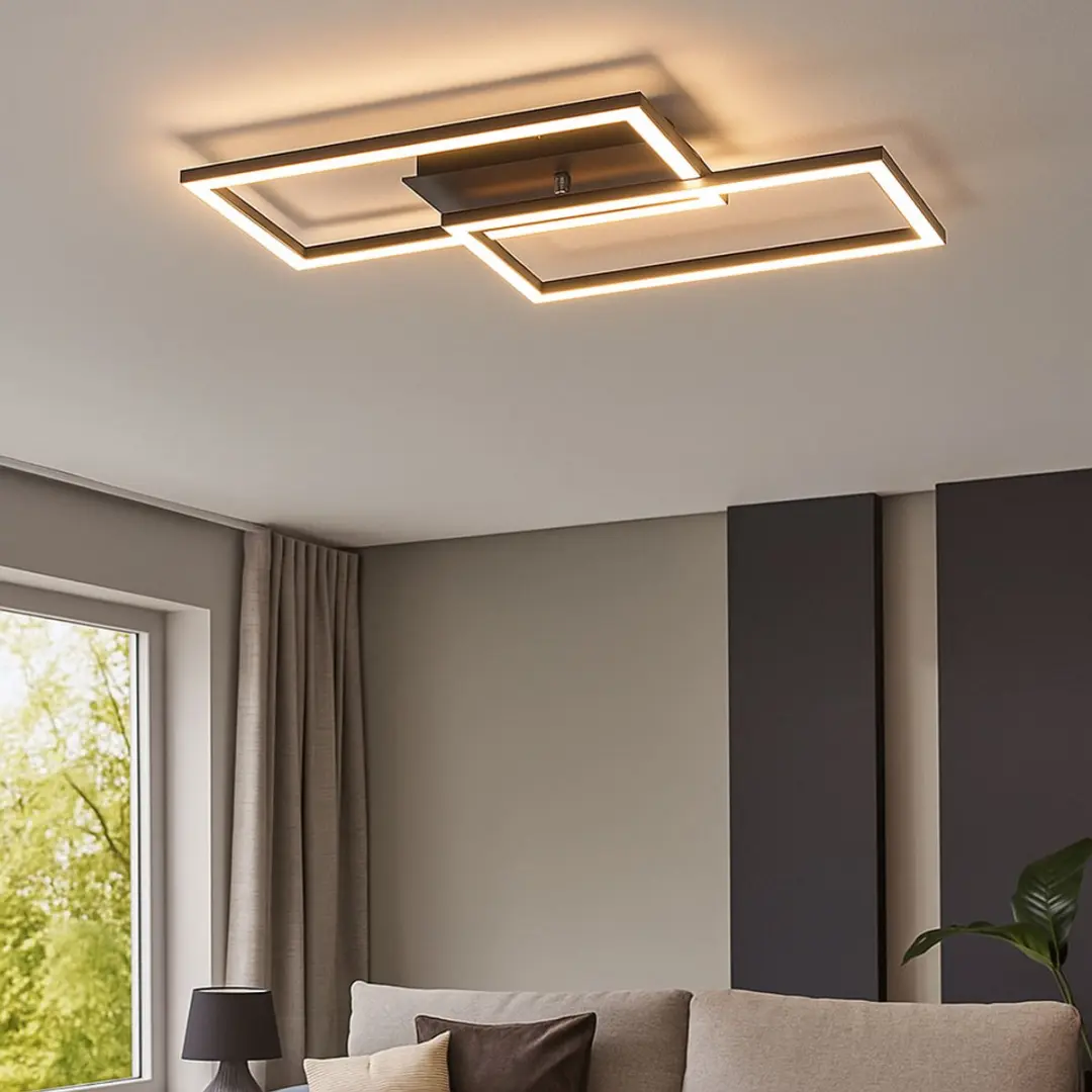 Paul Neuhaus Iven Plafondlamp 54x31cm - Zwart