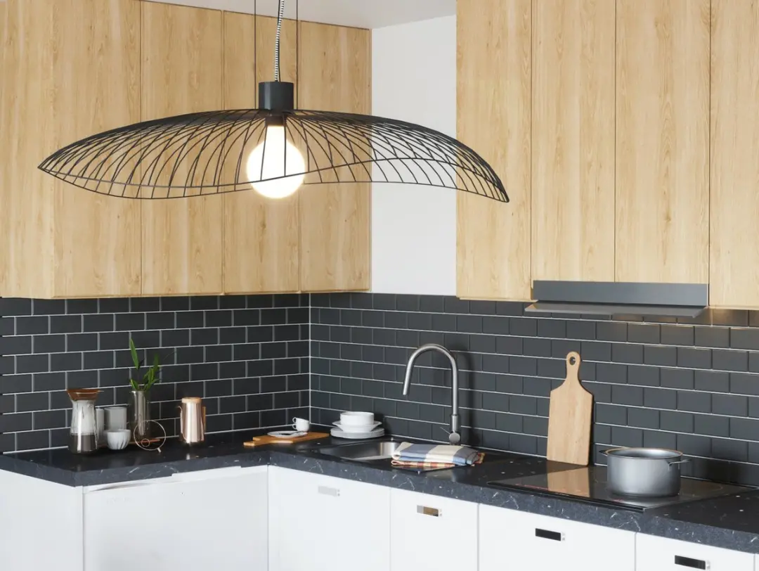 Forestier Colibri Hanglamp Ø100 Large - Zwart