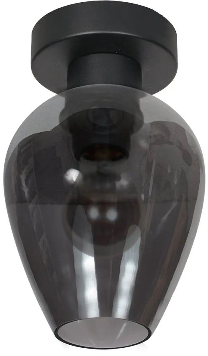 Steinhauer Drovia 4372ZW Plafonnier