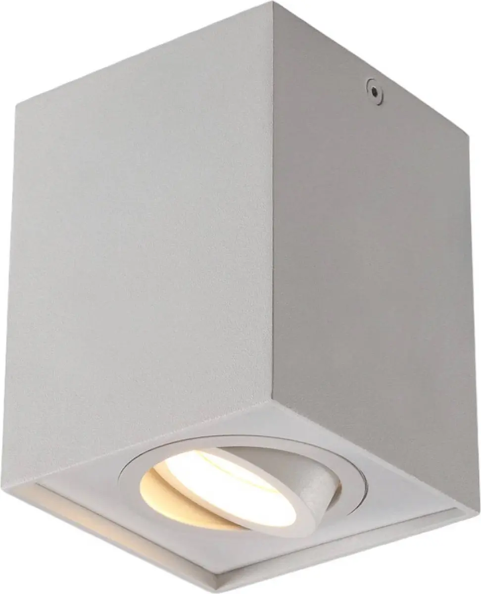 ARCCHIO Plafondlamp Aluminium 1 Lichtpunt GU10 - 10W - Mat Wit