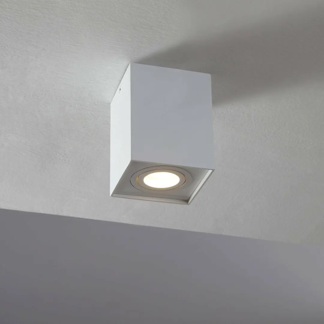 ARCCHIO Plafondlamp Aluminium 1 Lichtpunt GU10 - 10W - Mat Wit