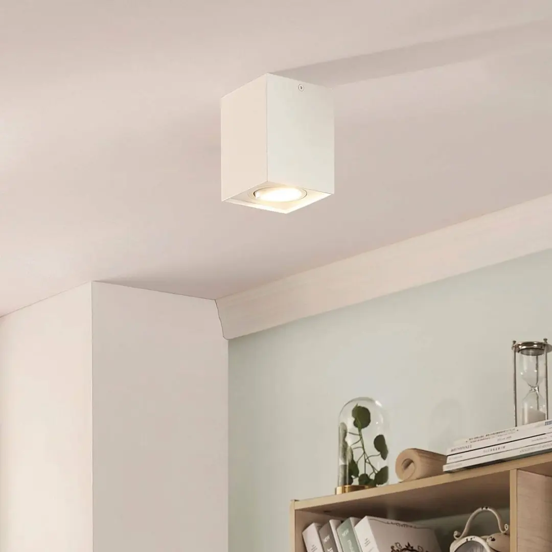 ARCCHIO Plafondlamp Aluminium 1 Lichtpunt GU10 - 10W - Mat Wit