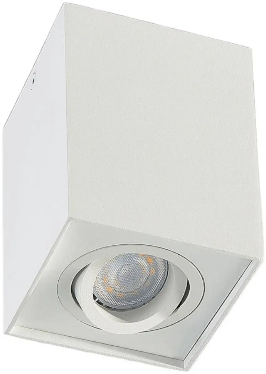 ARCCHIO Plafondlamp Aluminium 1 Lichtpunt GU10 - 10W - Mat Wit