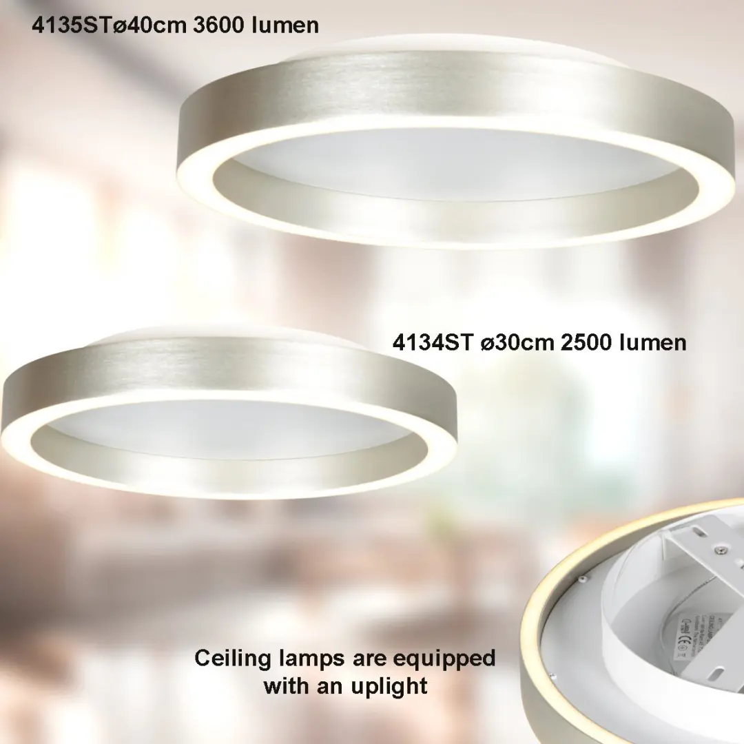 Steinhauer Plafonnier Ringlux 4134ST - 2x20W LED - Ø30cm - Staal - afbeelding 6 van 6