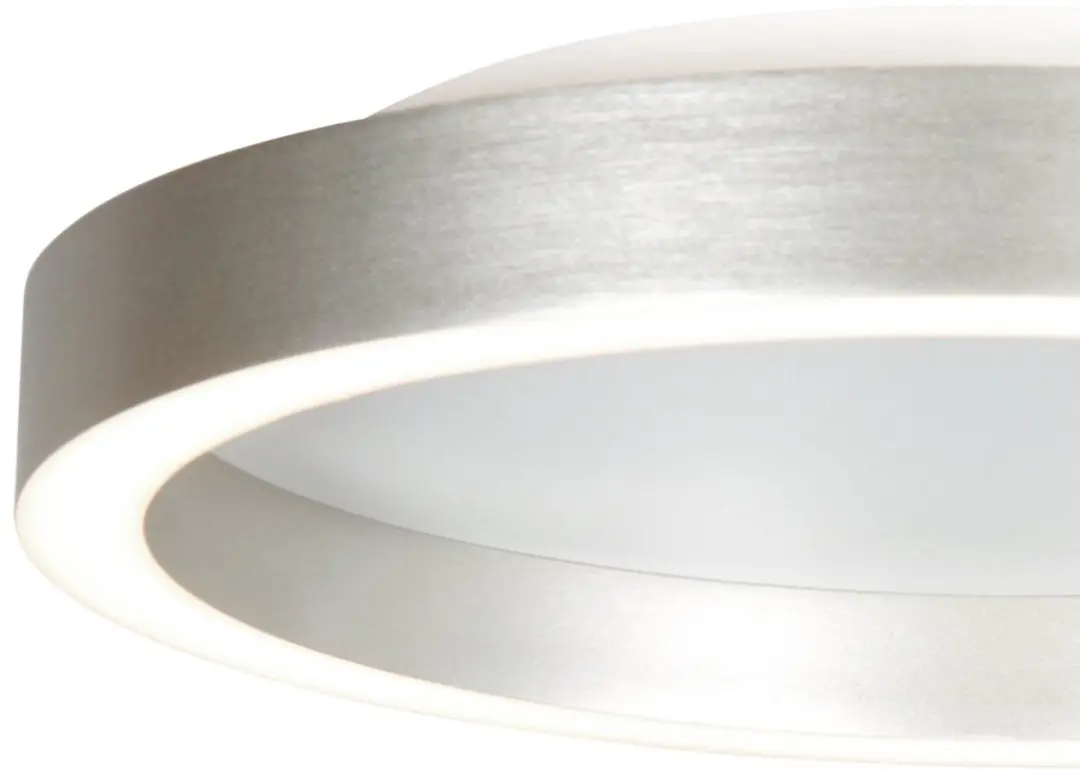 Steinhauer Plafonnier Ringlux 4134ST - 2x20W LED - Ø30cm - Staal