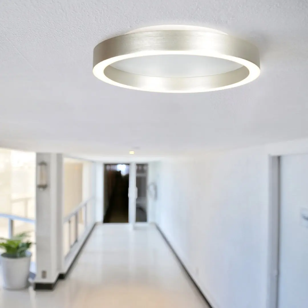 Steinhauer Plafonnier Ringlux 4134ST - 2x20W LED - Ø30cm - Staal