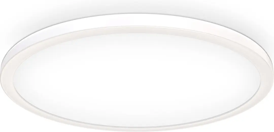 Briloner LED Paneel Plafondlamp Ø42cm 22W