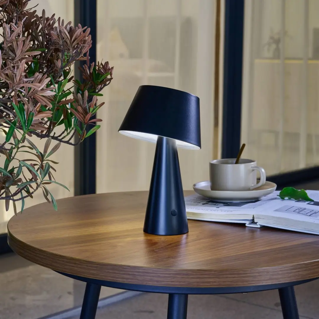 Lindby Solar Buitenverlichting 1 Licht - Zwart