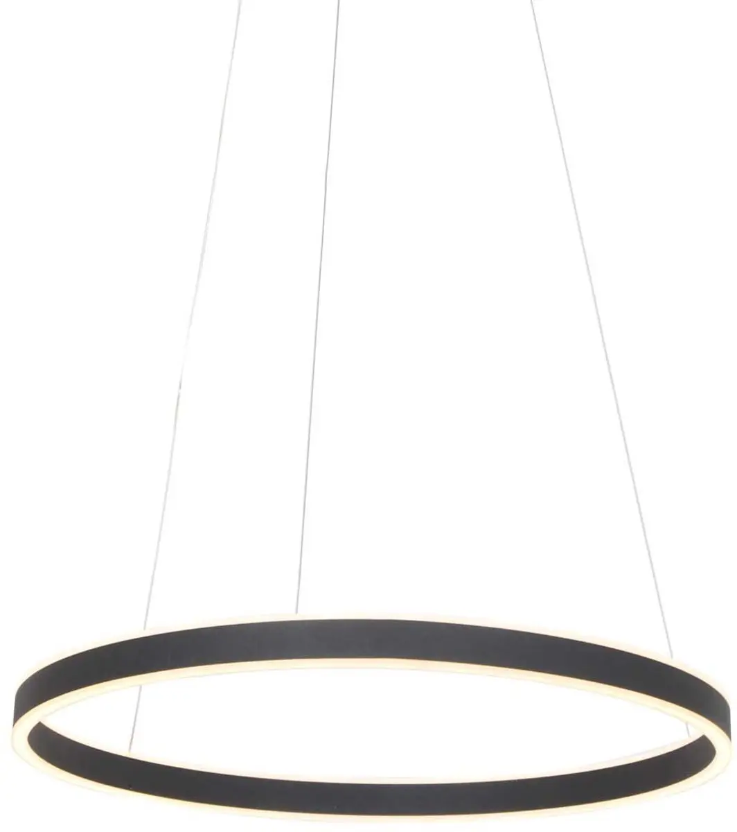 Steinhauer Hanglamp Ringlux 3502ZW