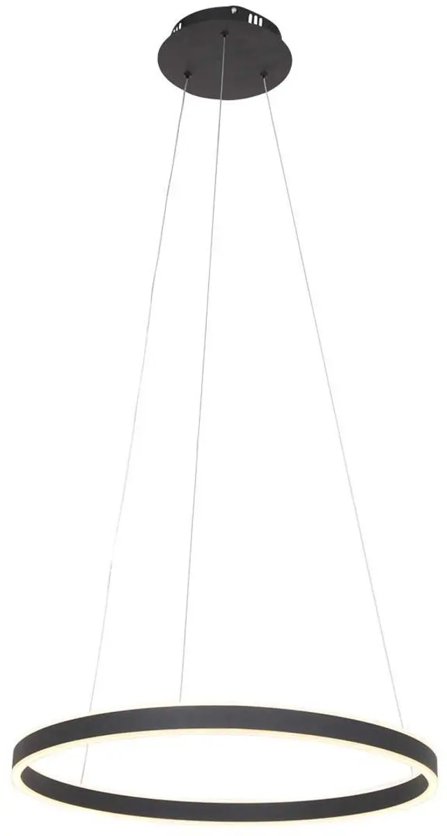 Steinhauer Hanglamp Ringlux 3502ZW - Zwart 60cm