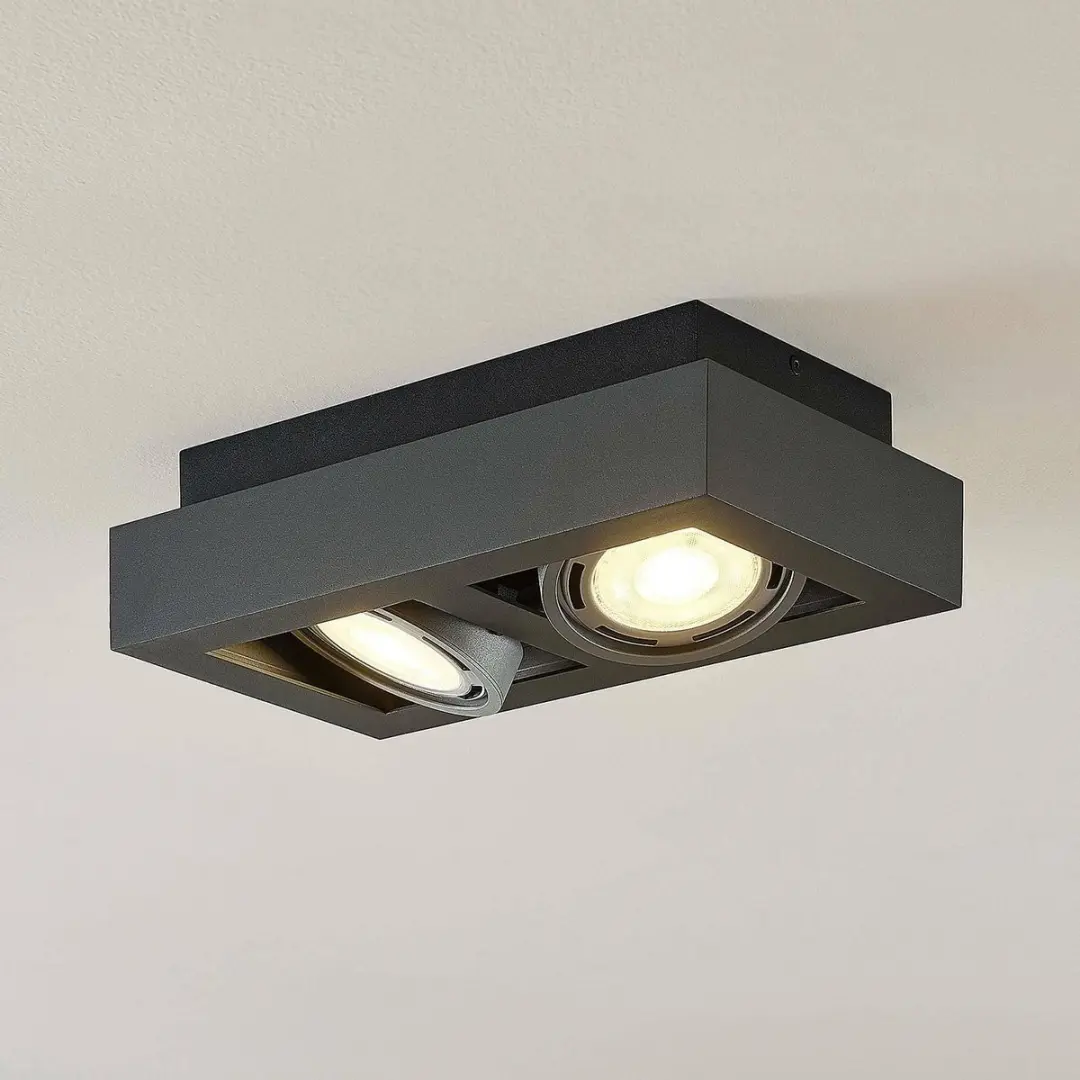ARCCHIO Plafondlamp 2x GU10 20W