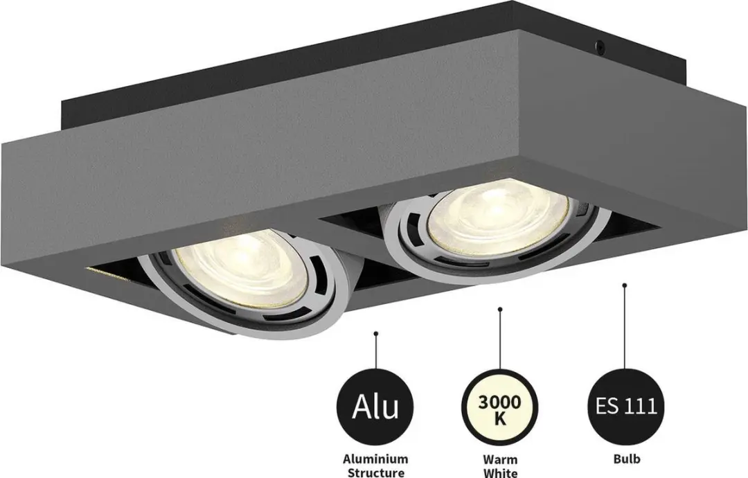 ARCCHIO Plafondlamp 2x GU10 20W - Donkergrijs