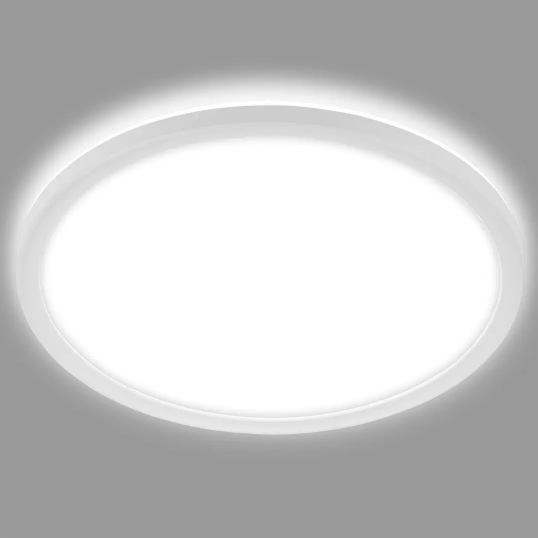 Briloner LED Badkamerverlichting Plafondlamp Ø29cm