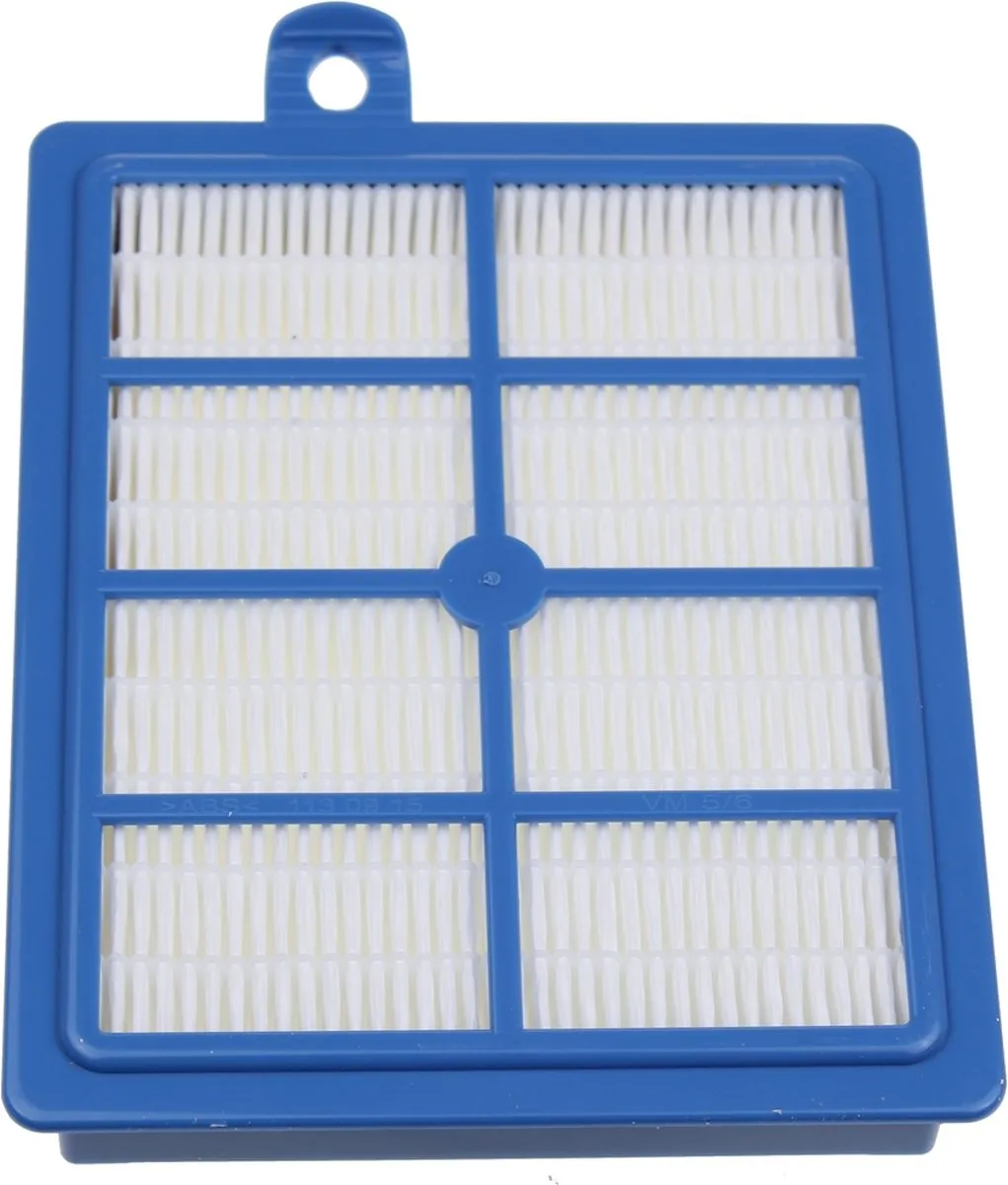 AEG H13 Allergy Plus Hepafilter G XL - Blauw