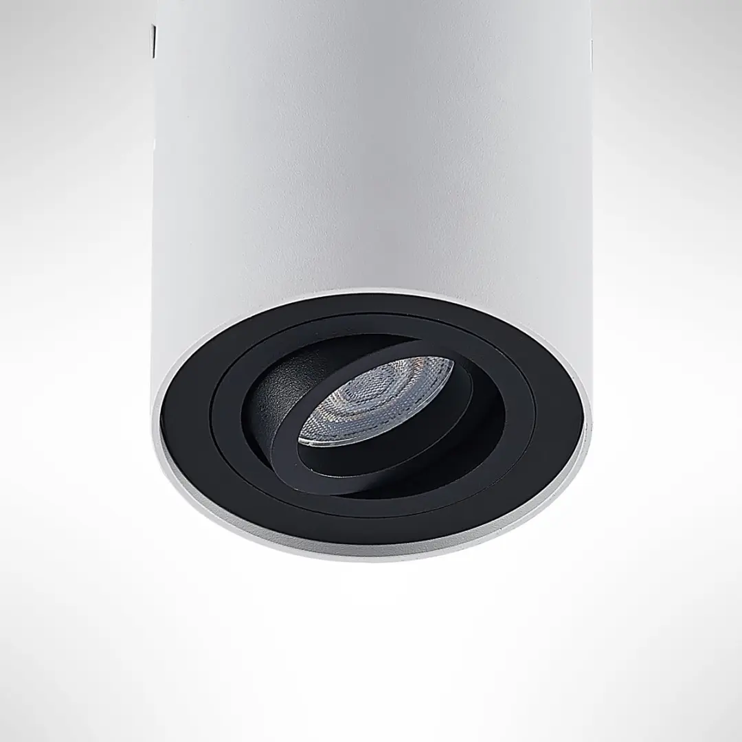 ARCCHIO Plafondlamp 1 Licht GU10 10W - Wit/Zwart